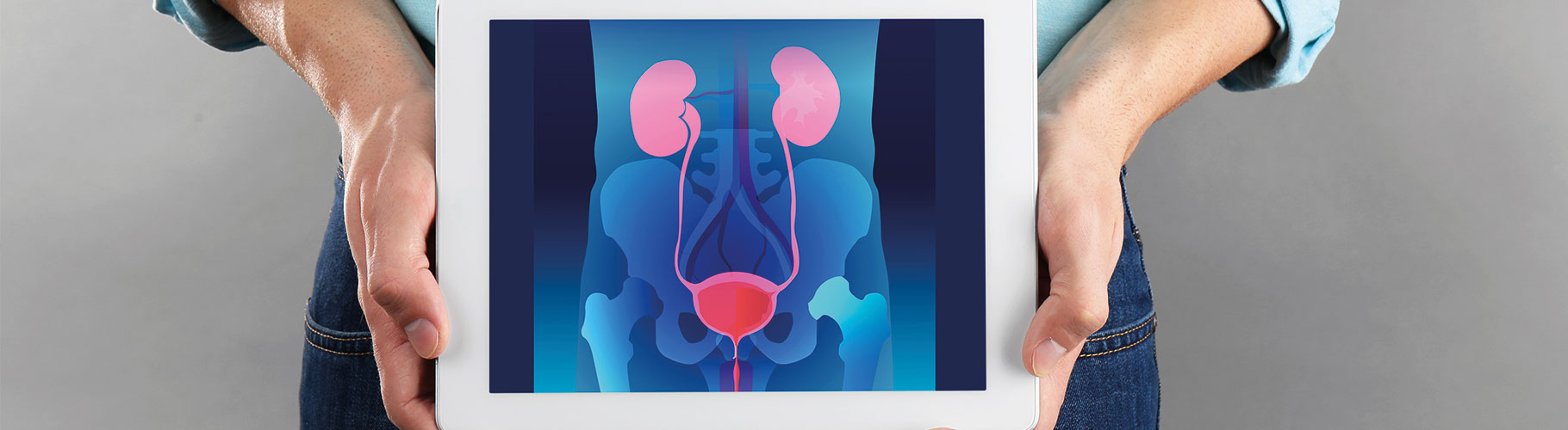Urologia